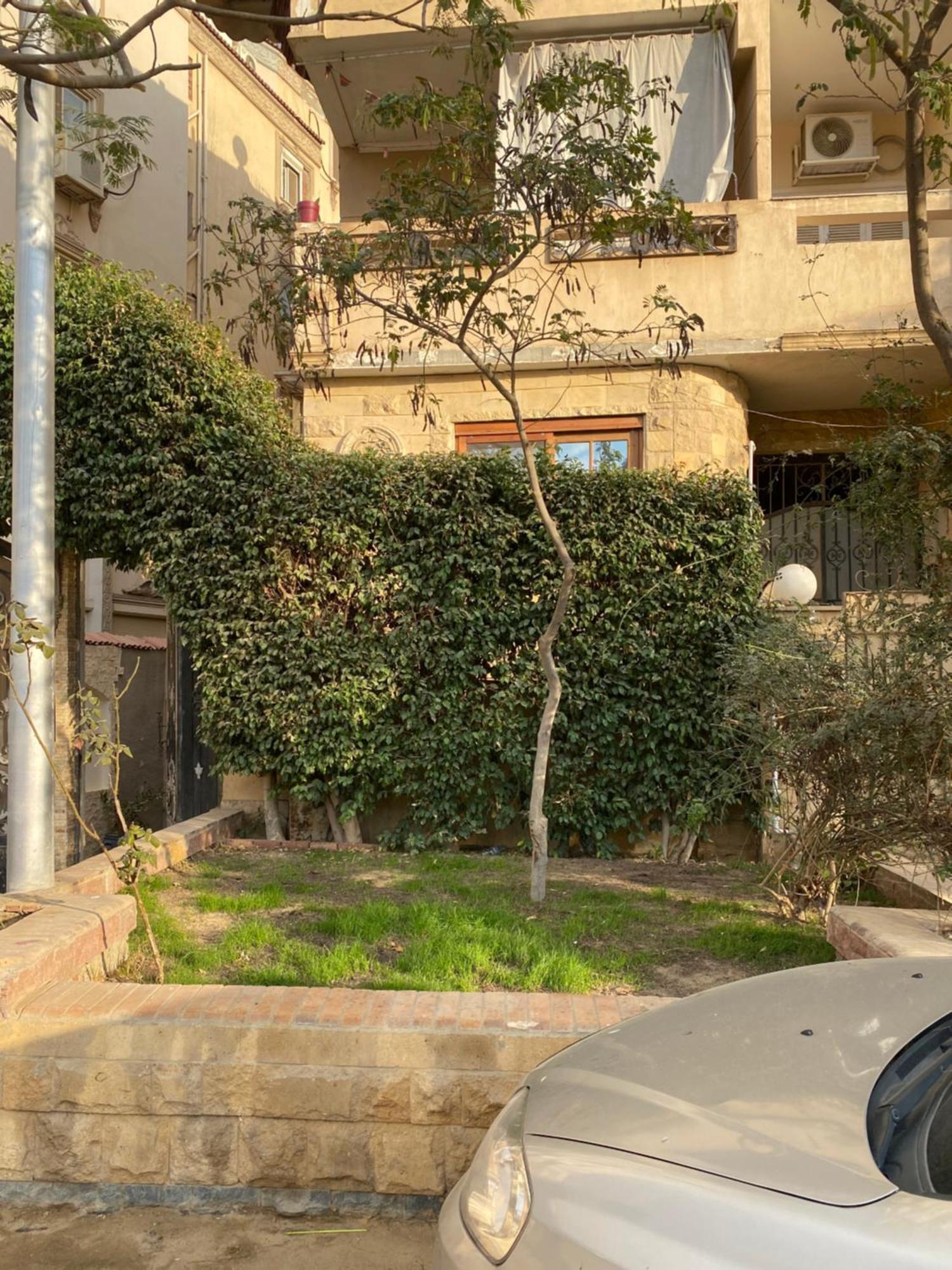 Sunny New Apartment Cairo